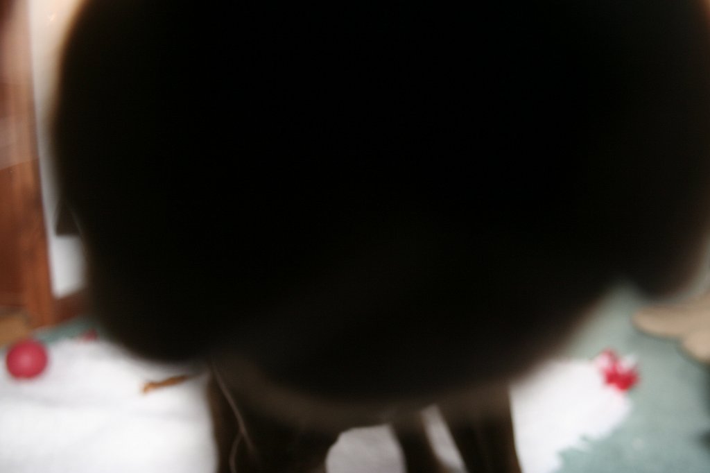 Click for the original image