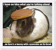 pancake_bunny * 288 x 252 * (18KB)