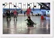 IMG_2475 * 3456 x 2304 * (2.8MB)
