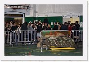 IMG_5146 * 3456 x 2304 * (6.16MB)